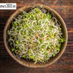 From Digestion to Immunity The Big Benefits of Eating Sprouts Daily
